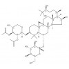 Agroastragalosi de I