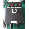 BZC51-A2D2KG防爆防腐操作柱挂式定制