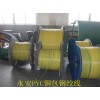 ��ȫ�����·����豸-PVCͭ���ֽ���