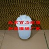 ƷּʪͰ BLOT2Cʪ8KG