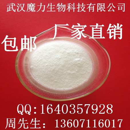 白23